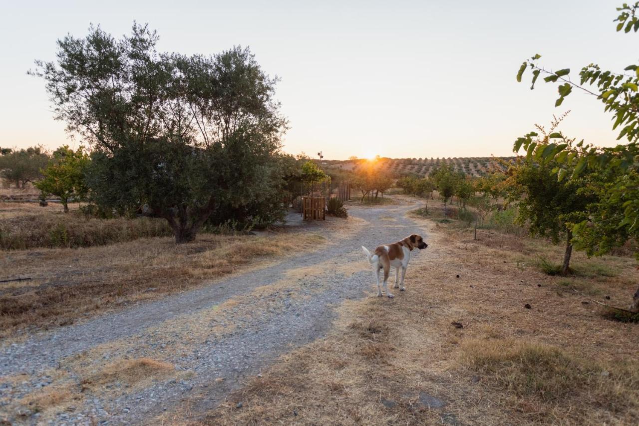 Monte Da Estrela - Country House & Spa Moura Exterior foto